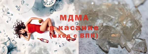 индика Алексин