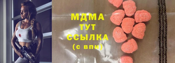 индика Алексин