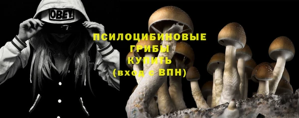соль ск Алзамай