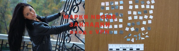 индика Алексин