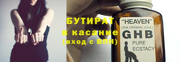 индика Алексин