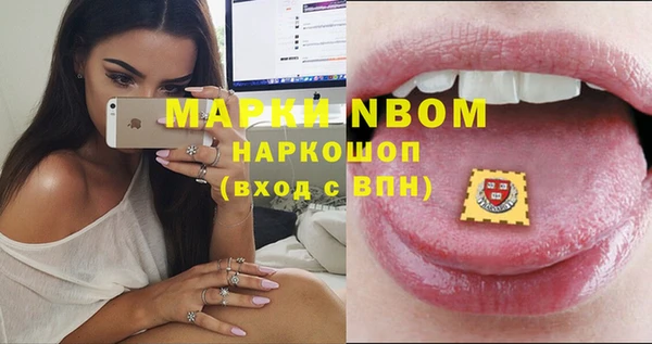 индика Алексин