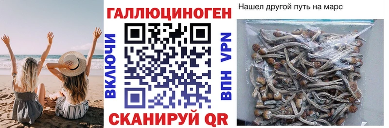 Псилоцибиновые грибы мицелий  Североуральск 