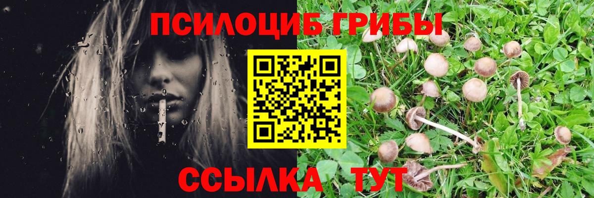 Галлюциногенные грибы Psilocybine cubensis  Вход с VPN  Североуральск  Галлюциногенные грибы Psilocybe 